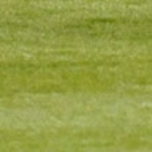 Meet your Posher, Samuel